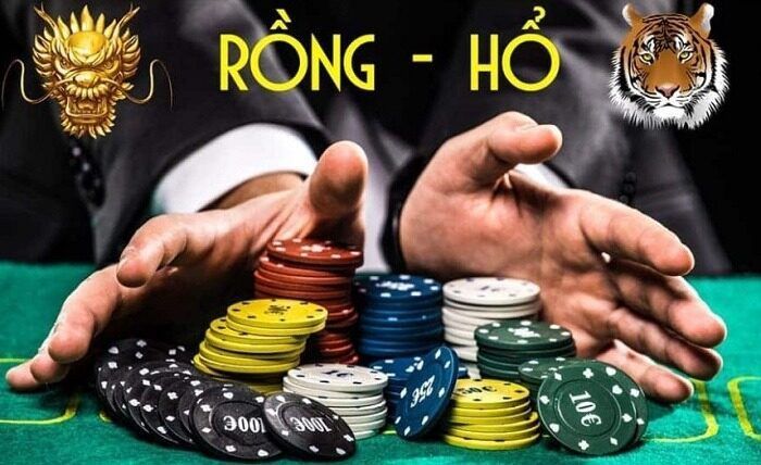 live casino rong ho